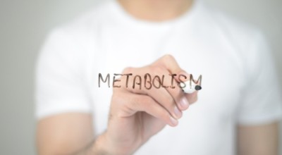 Метаболизъм – същност, значение, видове, фази, функции и контрол