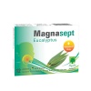 МАГНАЛАБС МАГНАСЕПТ ЕВКАЛИПТ пастили 12 броя / MAGNASEPT eucalyptus МАГНАЛАБС МАГНАСЕПТ ЕВКАЛИПТ пастили 12 броя / MAGNASEPT eucalyptus