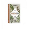 БРОНХОТЕРА капсули 30 броя / BRONCHOTERRA БРОНХОТЕРА капсули 30 броя / BRONCHOTERRA