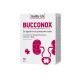 Bucconox 10 капсули / Буконокс