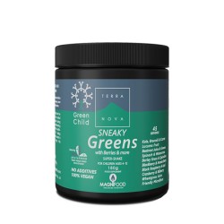 ВИТАМИНЕН ШЕЙК ЗА ДЕЦА ОТ 4 ДО 12 ГОДИНИ 180 гр. /  GREEN CHILD SNEAKY GREENS SUPER SHAKE CHILDREN AGES