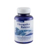 ХРУЩЯЛ ОТ АКУЛА капсули 100 броя / SHARK CARTILAGE capsules
