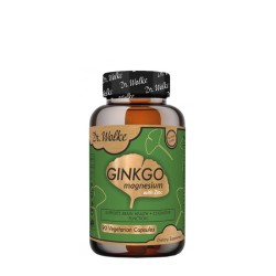 ГИНКО + МАГНЕЗИЙ + ЦИНК капсули 90 броя /  GINKGO + MAGNESIUM + ZINC