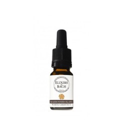 ЦВЕТЕН ЕЛИКСИР НА Д-Р БАХ БЯЛ ДИВ КЕСТЕН 10 мл. / WHITE CHESTNUT ELIXIR