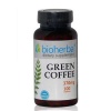 ЗЕЛЕНО КАФЕ БИОХЕРБА капсули 370 мг. 100 броя /  GREEN COFFE