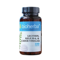 4 В 1 ОТСЛАБВАНЕ С ВОДОРАСЛИ БИОХЕРБА капсули 100 броя /  LECITHIN, KELP, B-6 & CIDER VINEGAR 4 IN 1