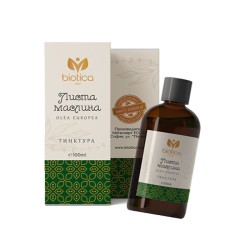 МАСЛИНА ЛИСТА тинктура 100 мл. /  OLIVE LEAF