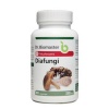 ДИАФУНГИ КОМПЛЕКС капсули 330 мг. 90 броя / DIAFUNGI capsules 330 mg.90