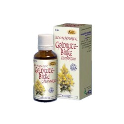 ЕНЧЕЦ - БРЕЗА капки 30 мл. /  SOLIDAGO VIRGAUREA - BIRCH