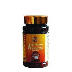 ГАНОДЕРМА ЛИЦИДУМ СПОРИ РЕЙШИ капсули 90 броя / GANODERMA