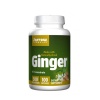 ДЖИНДЖИФИЛ КОНЦЕНТРАТ 4:1 капсули 500 мг. 100 броя / JARROW FORMULAS GINGER 4:1 CONCENTRATE