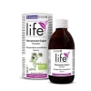 МАГАРЕШКИ БОДИЛ ЕКСТРАКТ 300 мл. / MILK THISTLE EXTRACT МАГАРЕШКИ БОДИЛ ЕКСТРАКТ 300 мл. / MILK THISTLE EXTRACT