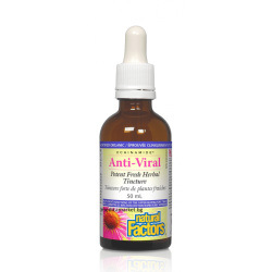NATURAL FACTORS ANTI-VIRAL БИЛКОВА ТИНКТУРА 50 мл. NATURAL FACTORS ANTI-VIRAL БИЛКОВА ТИНКТУРА 50 мл.